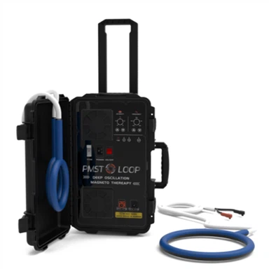PEMF Caballo de terapia electro magnética